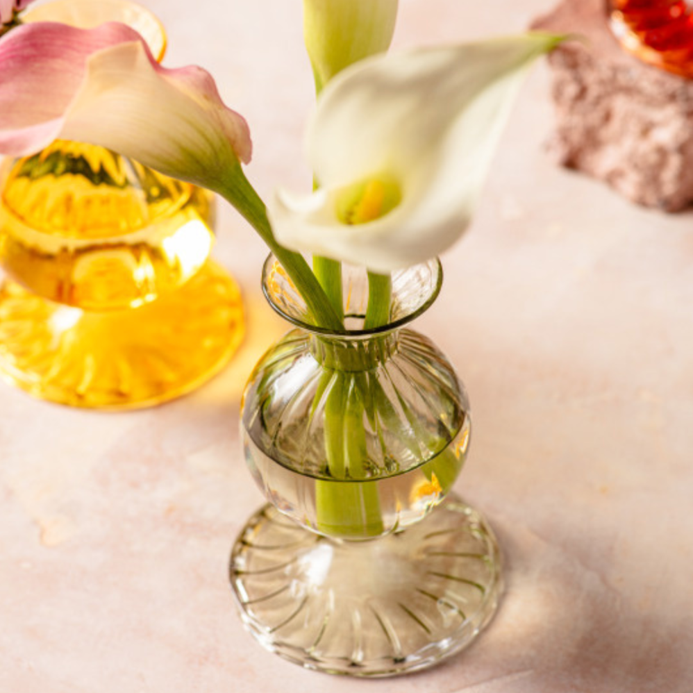 Glass Bud Vase, Parakeet
