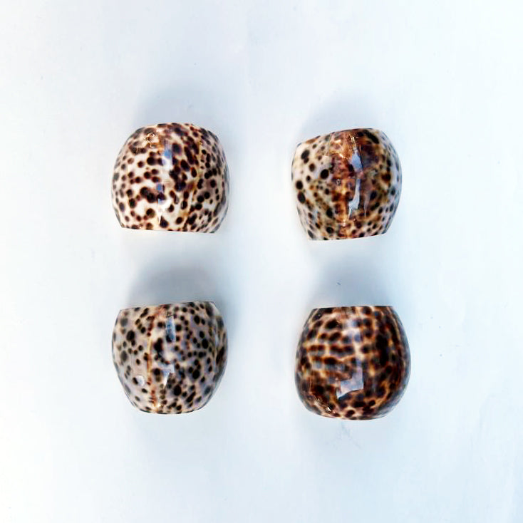 Tiger Cowrie Shell Napkin Ring, Set of 4