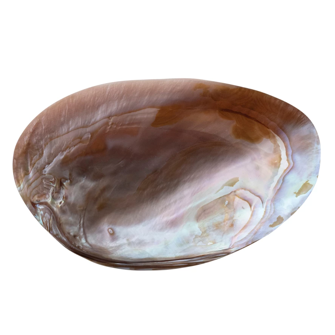 Decorative Pink Seashell Footed Dish