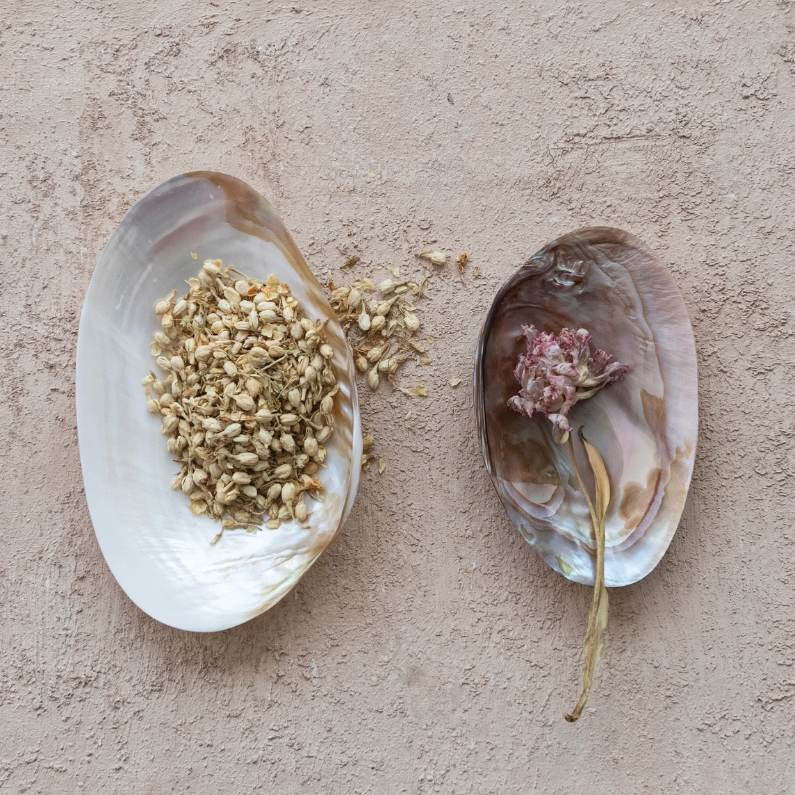 Decorative White Seashell Footed Dish