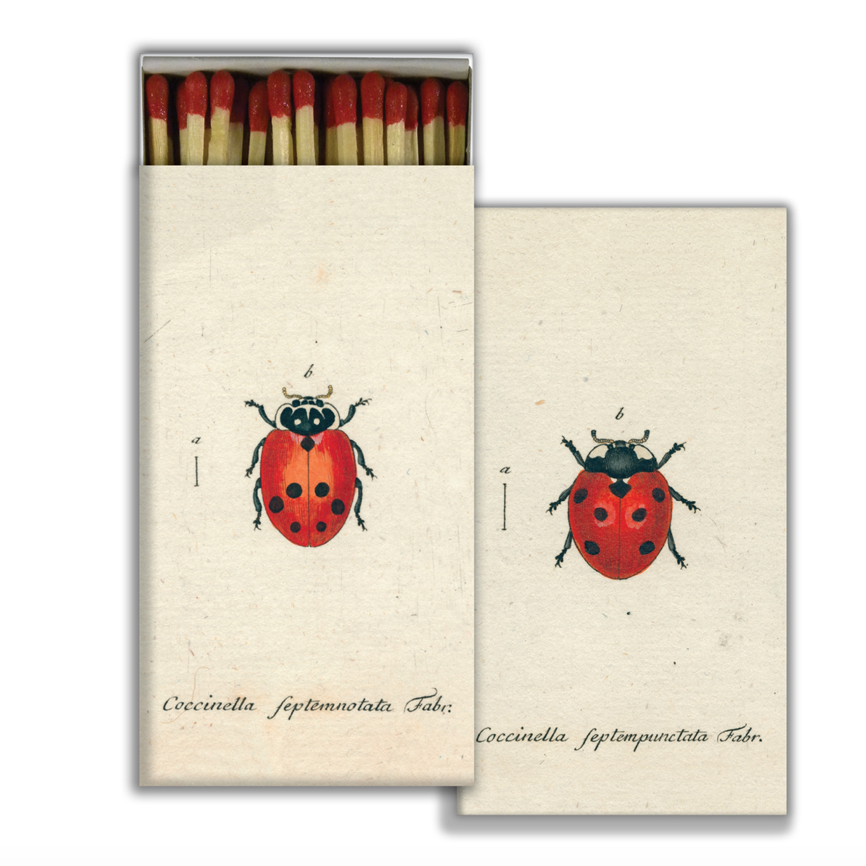 Decorative Matches