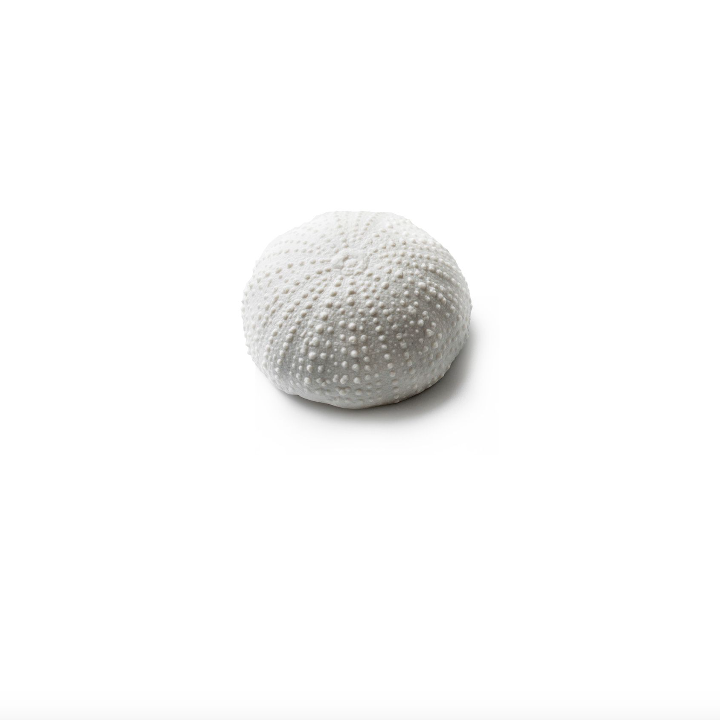 Sea Urchin Porcelain Mini Bowl