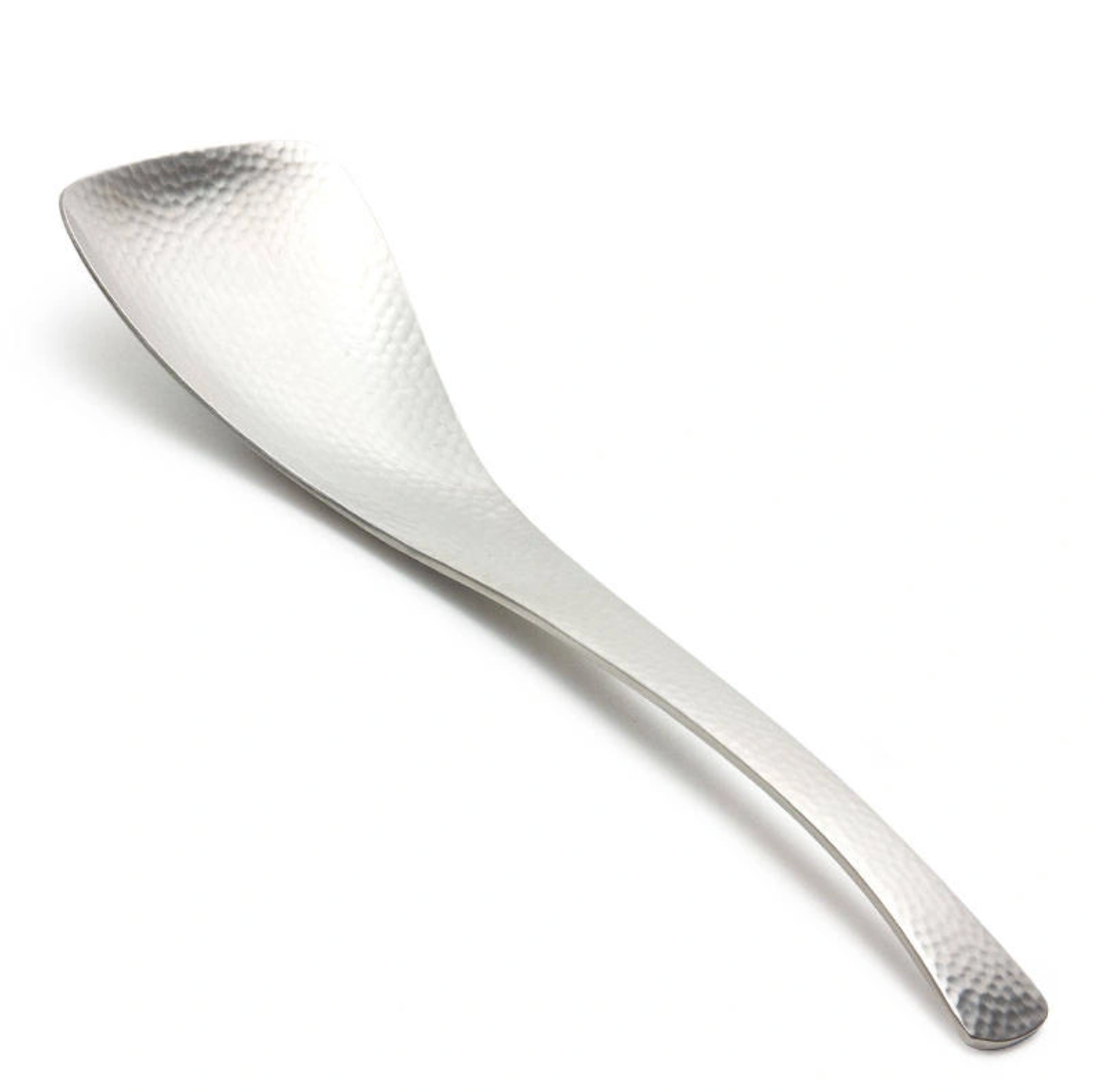 Stainless Steel Serving Spoon