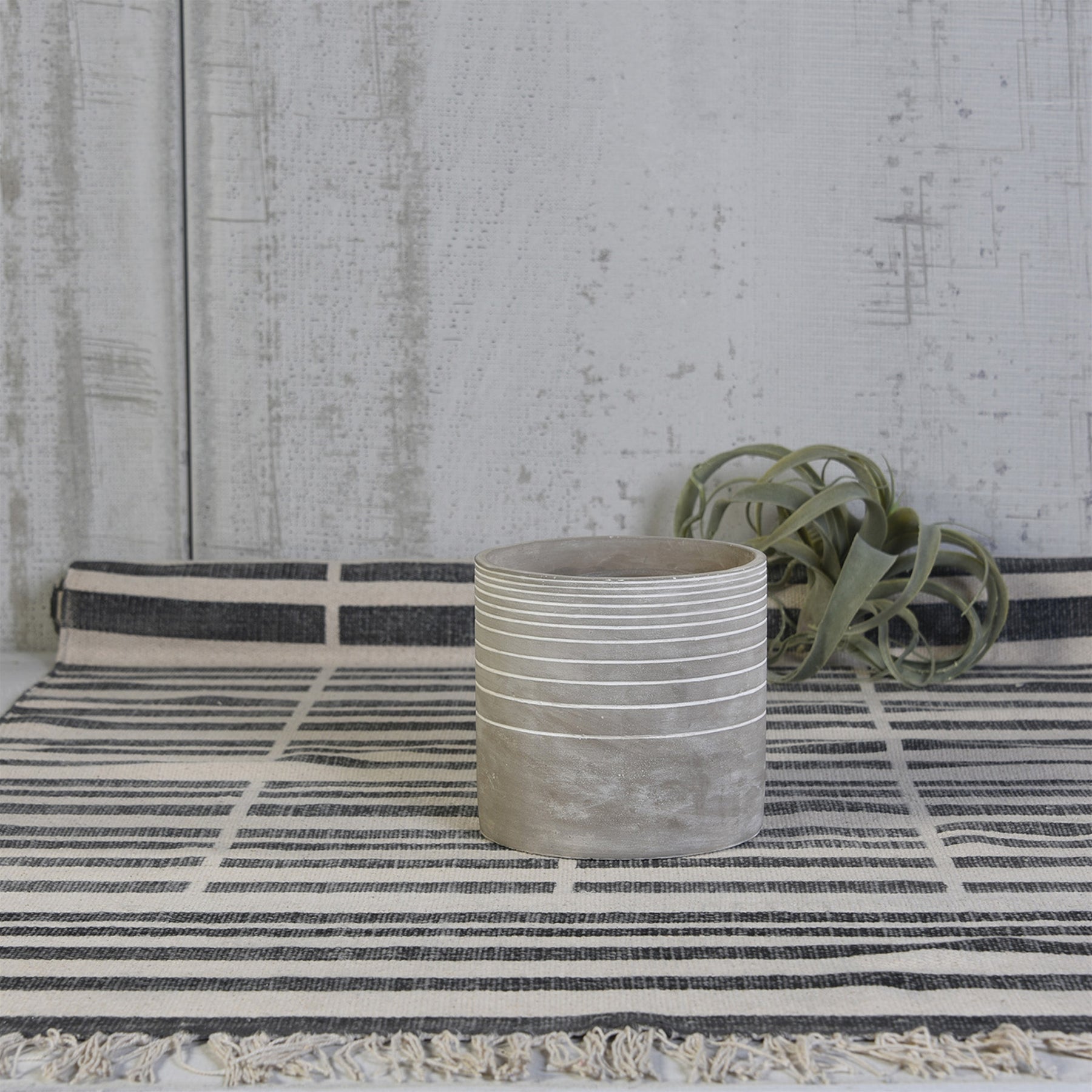 Cement Cachepots
