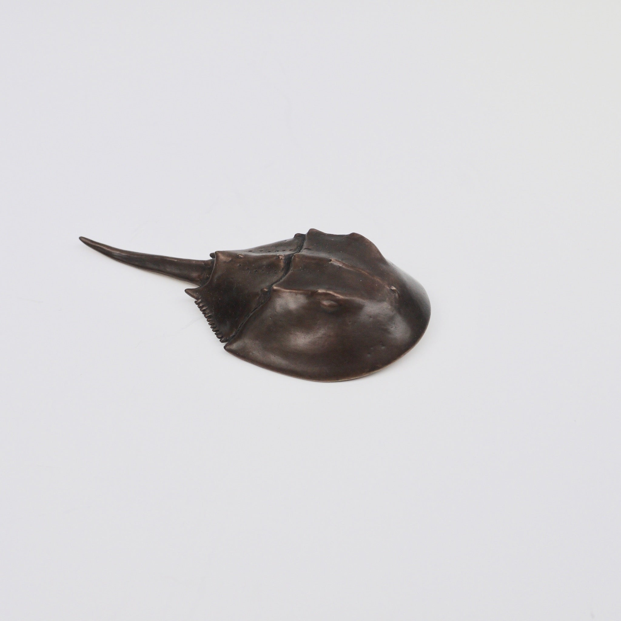 Horseshoe Crab Bottle Opener