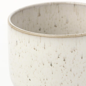 Yunomi Teacup