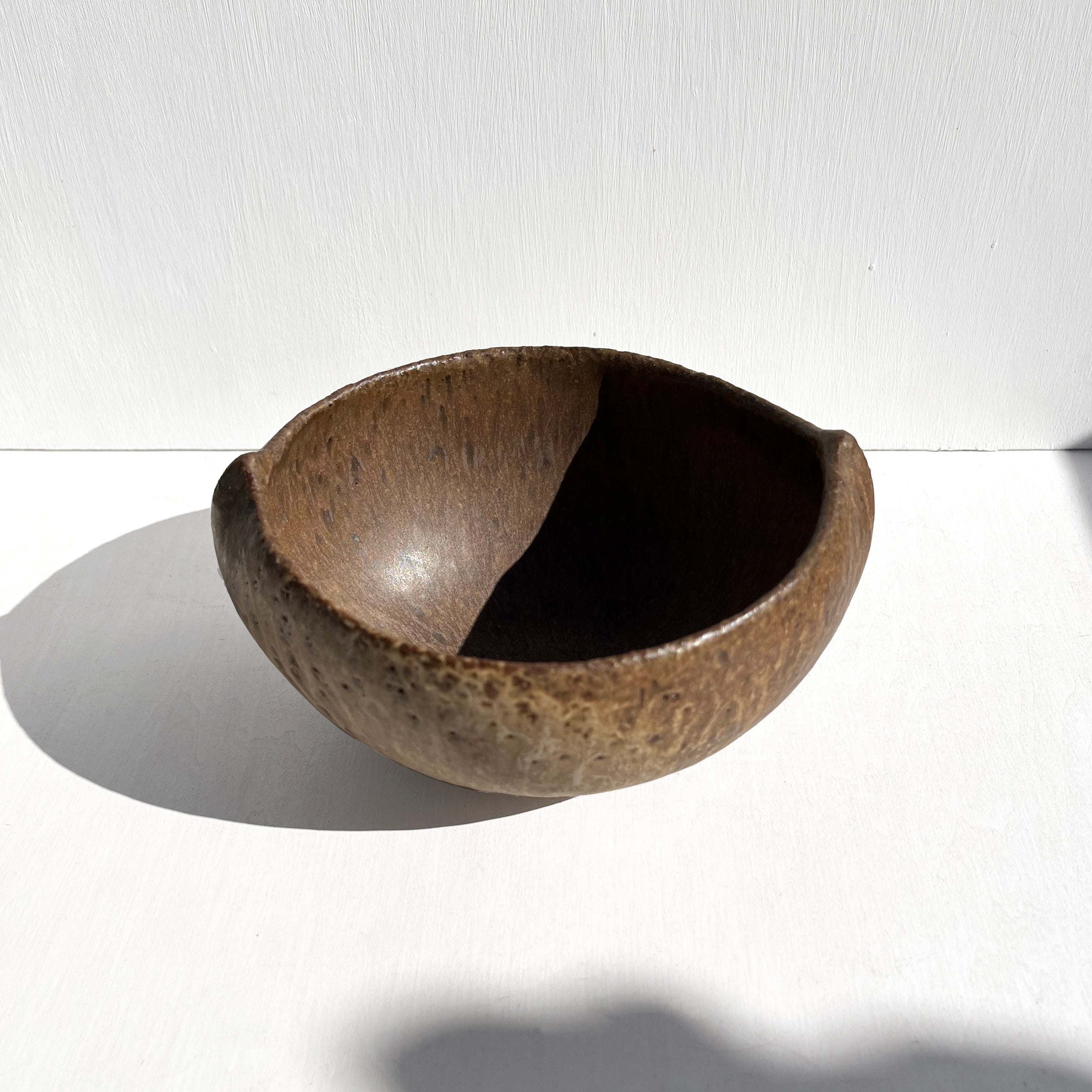 Brown Shell Bowl, Medium