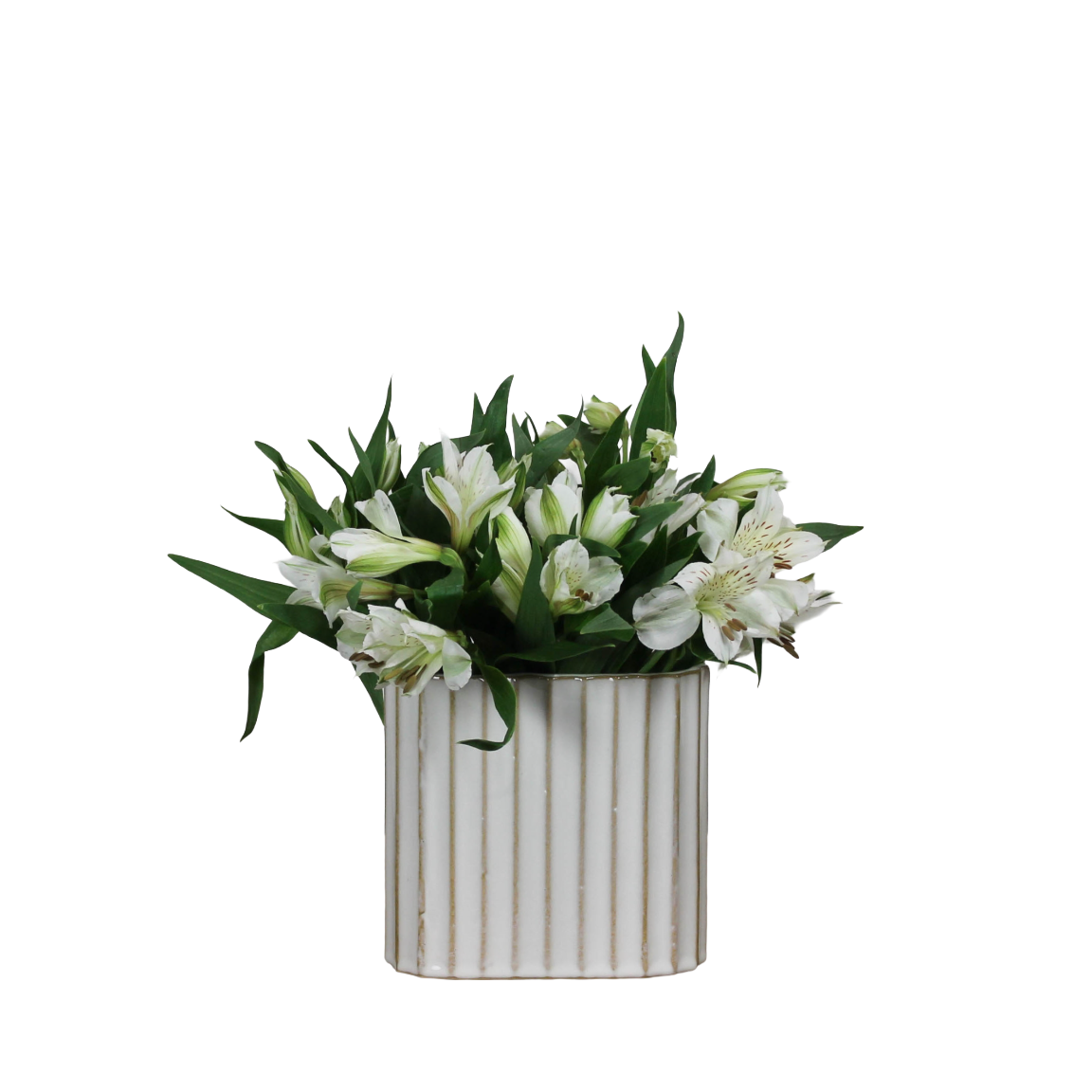 Caro Ribbed Vase, Small