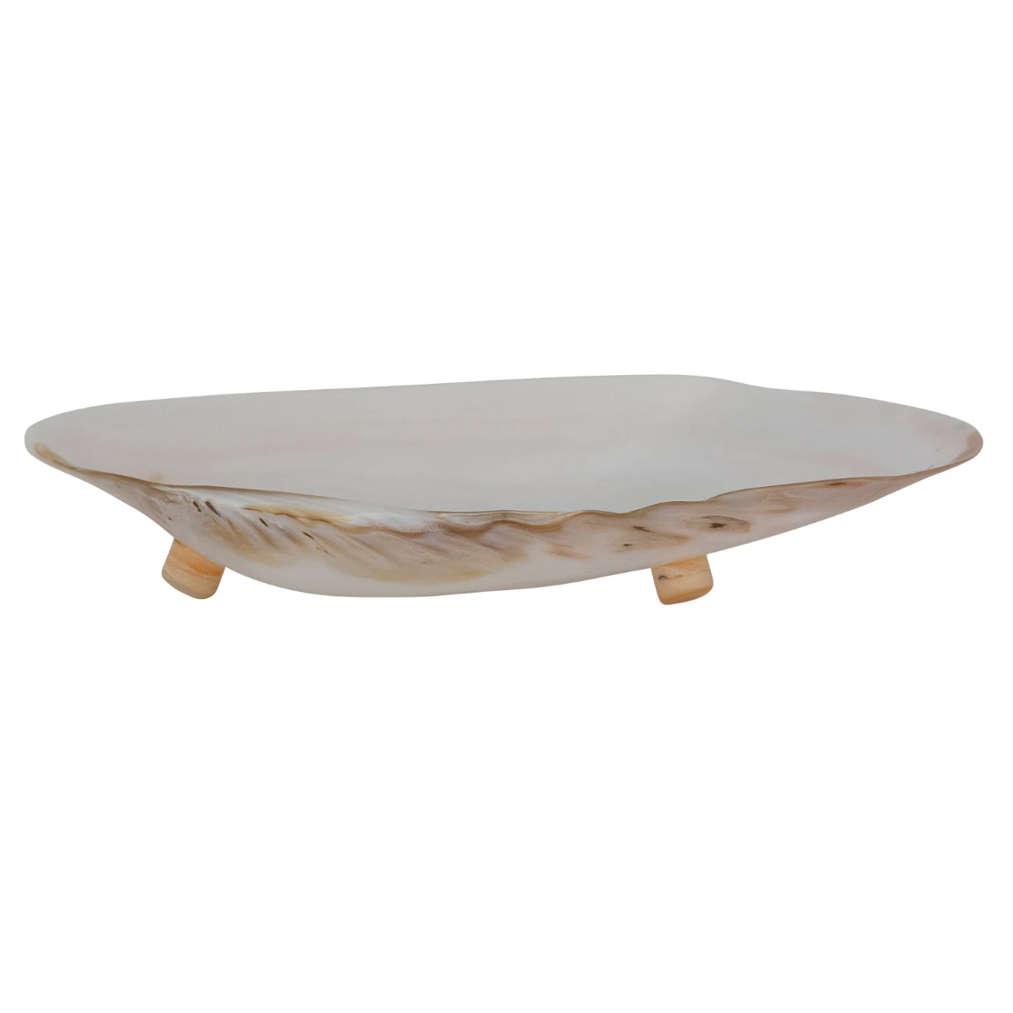 Decorative White Seashell Footed Dish