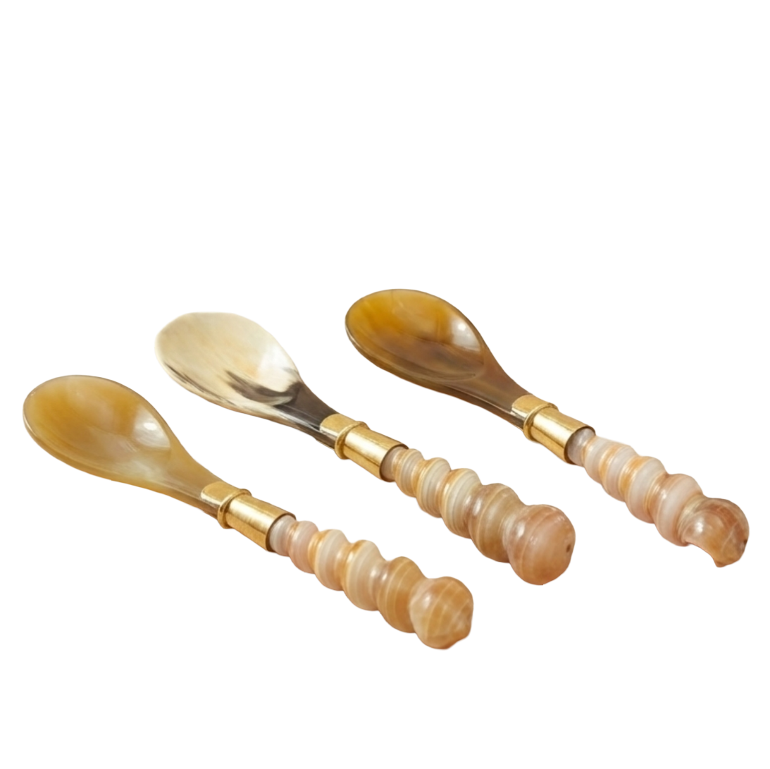 Horn and Seashell Spoons, Set of 3