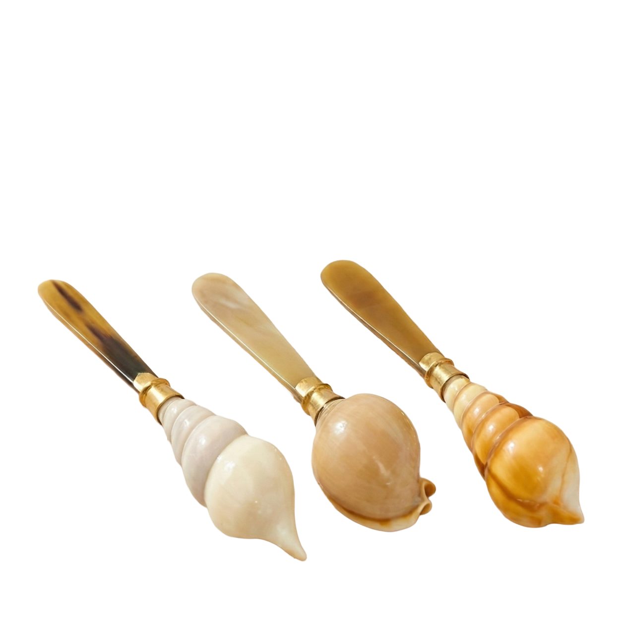 Horn and Seashell Spreaders, Set of 3