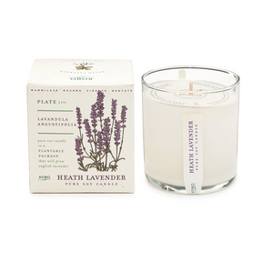 Plant the Box Soy Candle by KOBO