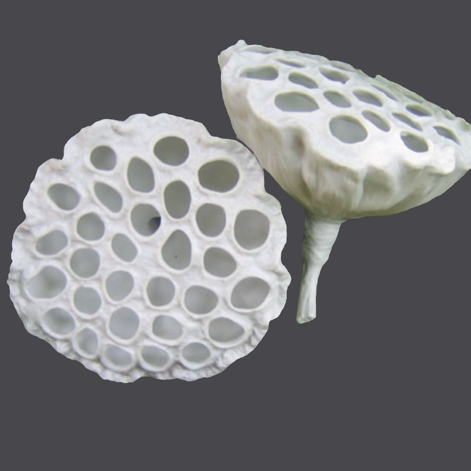 Porcelain Lotus Pod