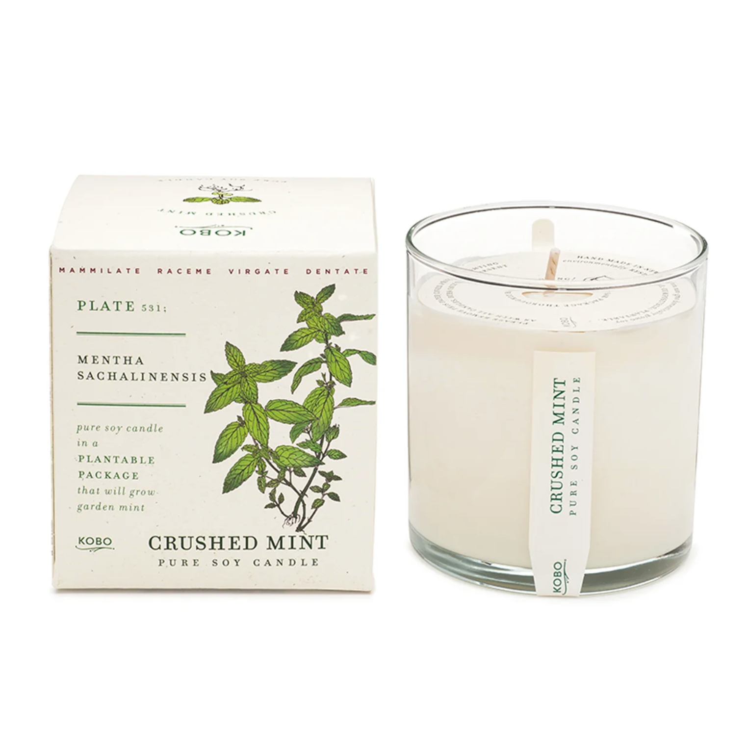 Plant the Box Soy Candle by KOBO