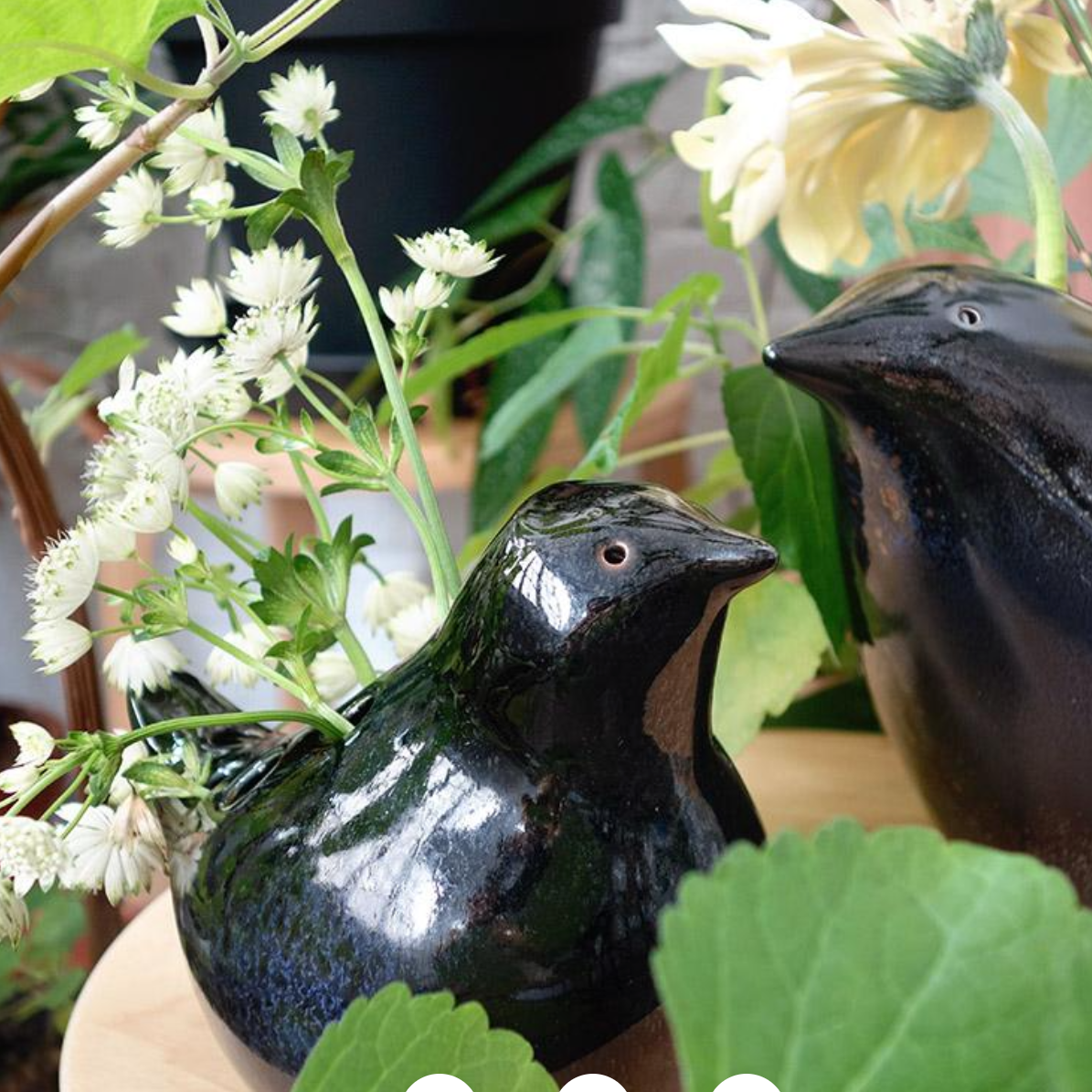 Le Petit Oiseau Vase