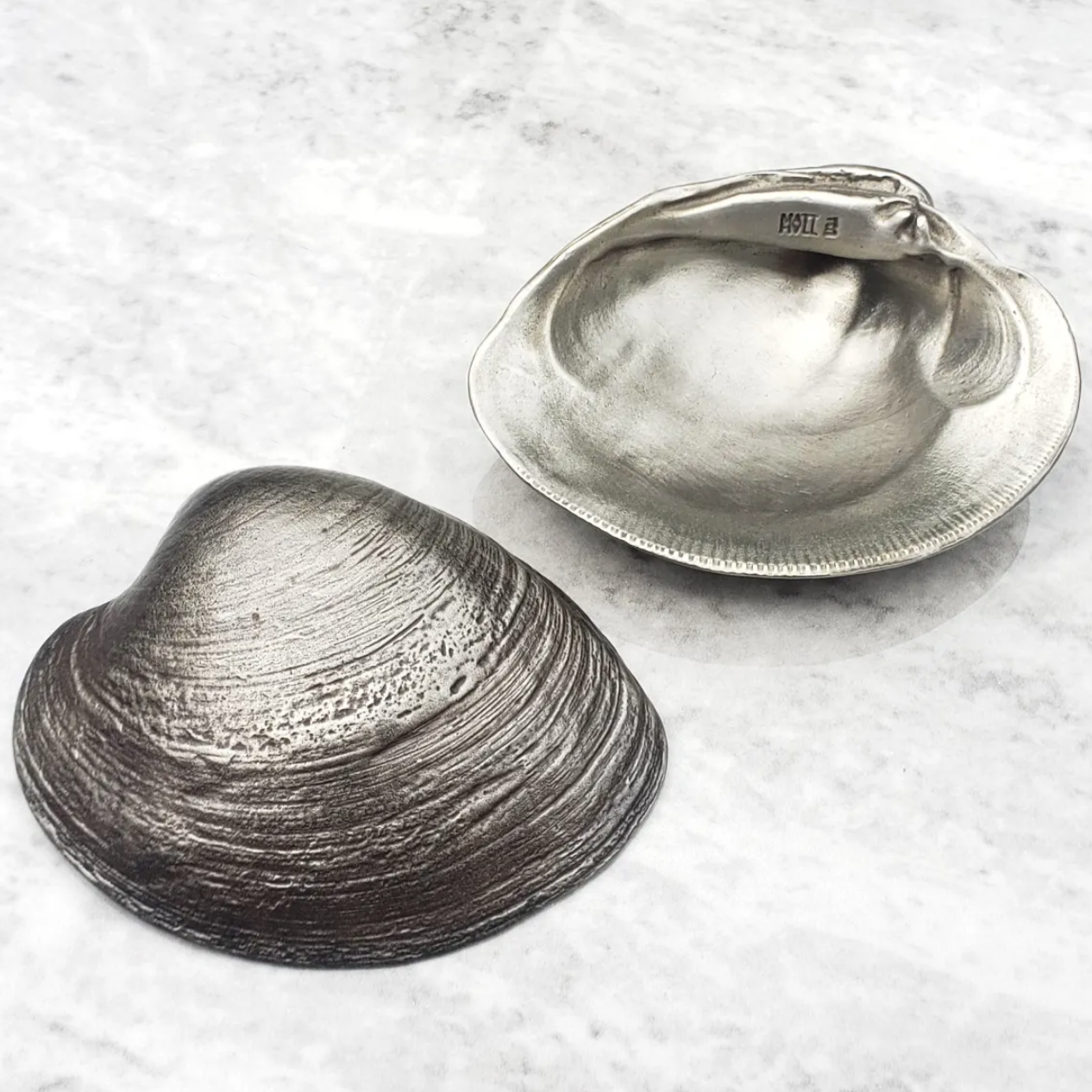 Quahog Shell Bottle Opener