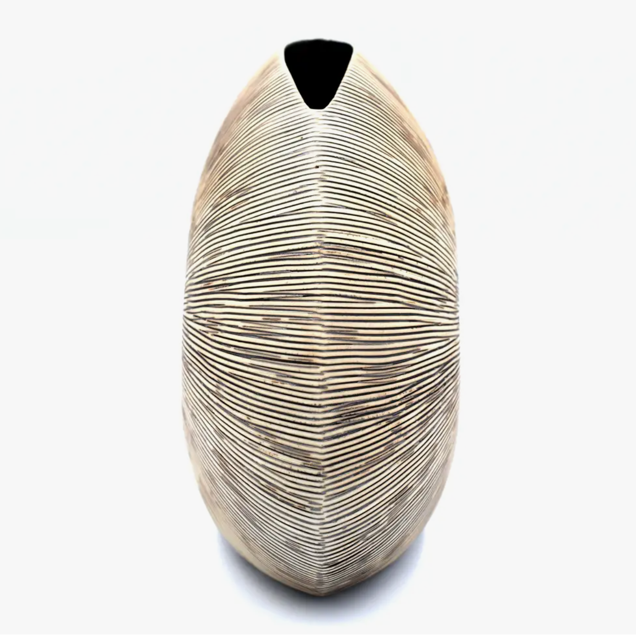 Handmade Seashell Vase, Medium, Brown