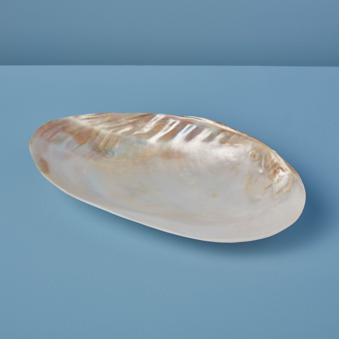 Seashell Footed Dish