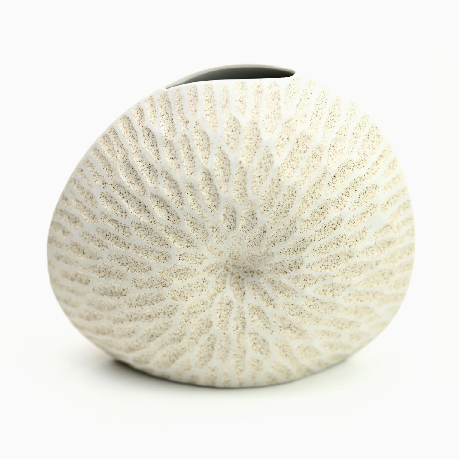 Handmade Seashell Vase, Small, White Coral