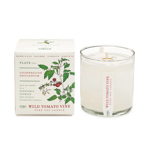 Plant the Box Soy Candle by KOBO