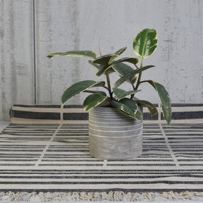 Cement Cachepots