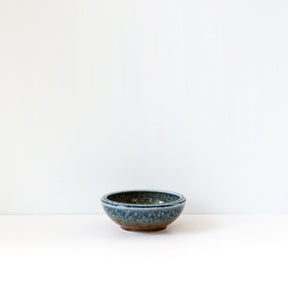 Oasis Shallow Bowl