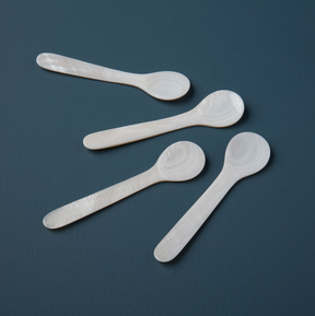 White Seashell Spoons