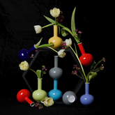 Mini Beauty Vase